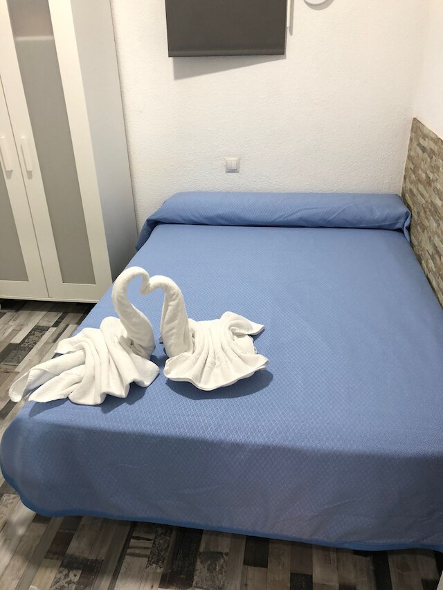 H ノチェ イ ディア