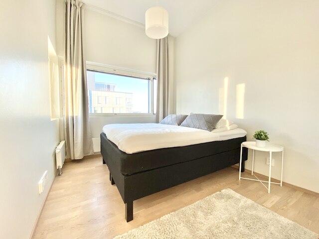 シティ ホーム フィンランド ラティーナ パノラマ