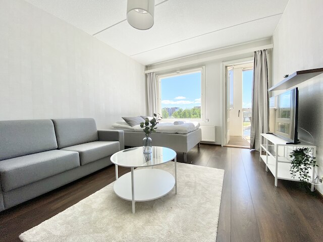 シティ ホーム フィンランド ラウコントリ パノラマ