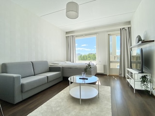 シティ ホーム フィンランド ラウコントリ パノラマ