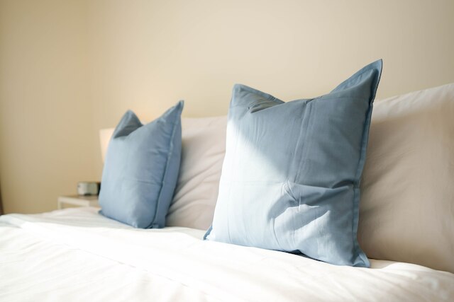 ラックス BnB I AG タワー I カナルビューズ