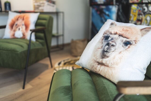 コロフ バイ ピュアプラス