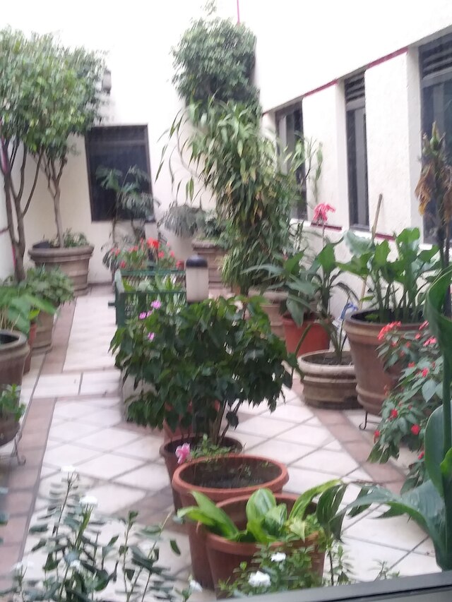 ホテル アンバー