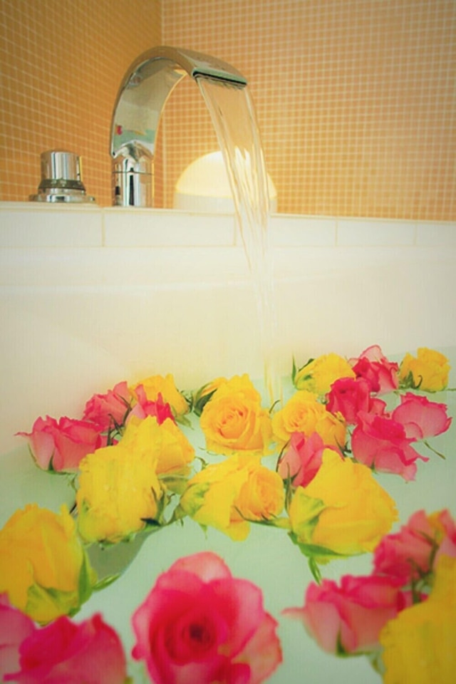 ホテルラフェスタ - 大人限定