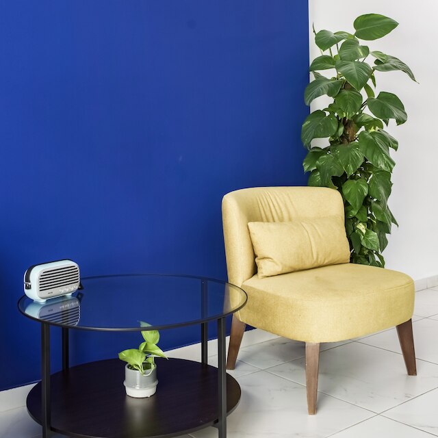 イアソノス スイーツ