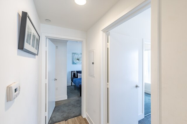 フリー ファーニッシュド 3 ベッドルーム アパートメント オン ポインセッティア プレイス 3 アパートメンツ バイ レッドオーニング