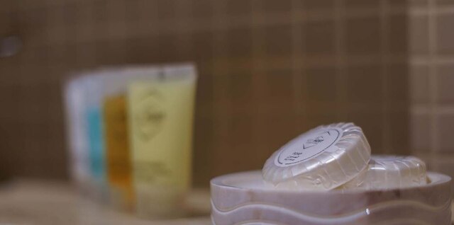 ブールバード ポイント