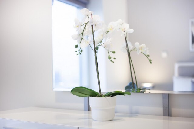 アップグレード アパートメント ウィズ スタニング ブルジュ ハリファ ビュー