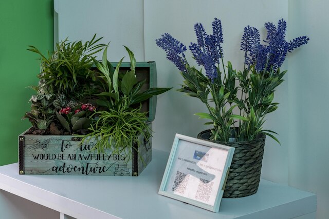 オキシジェン・ホステル