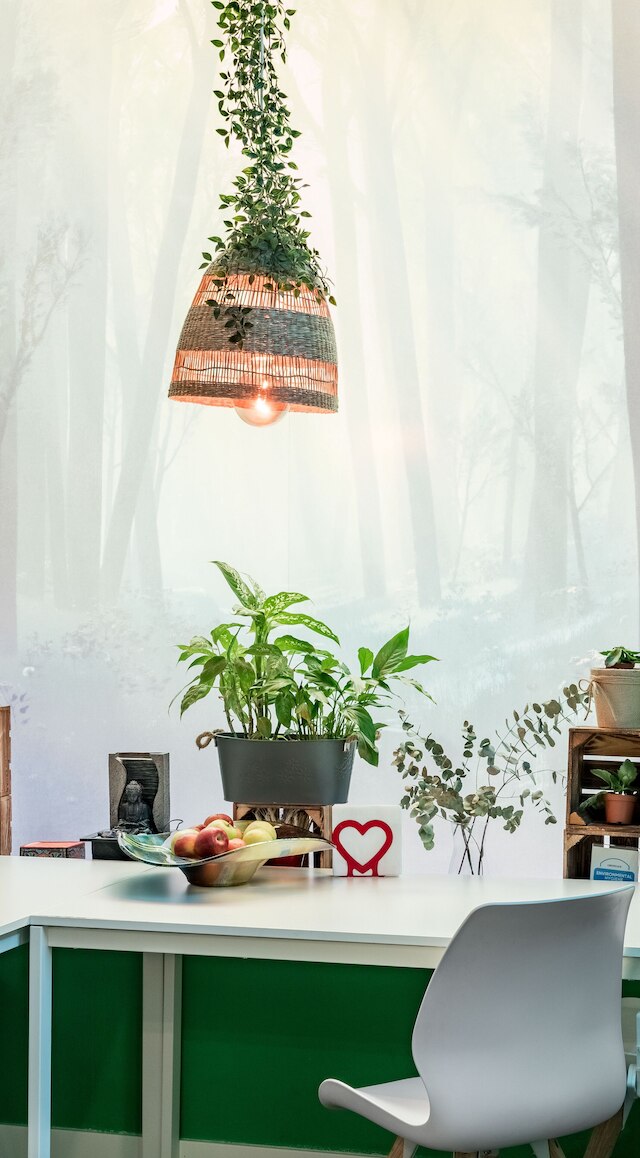 オキシジェン・ホステル