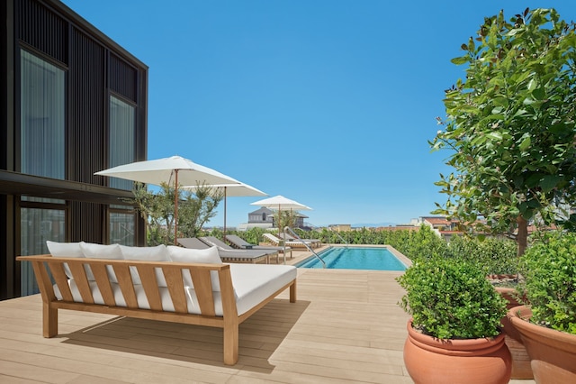 ザ マドリード エディション