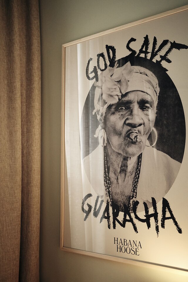 チク & ベーシック ハバナ ホース