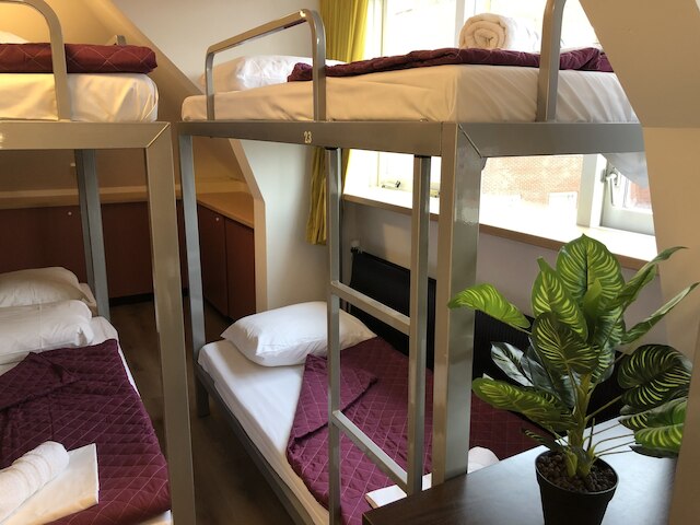 ルーム メイト ホステル