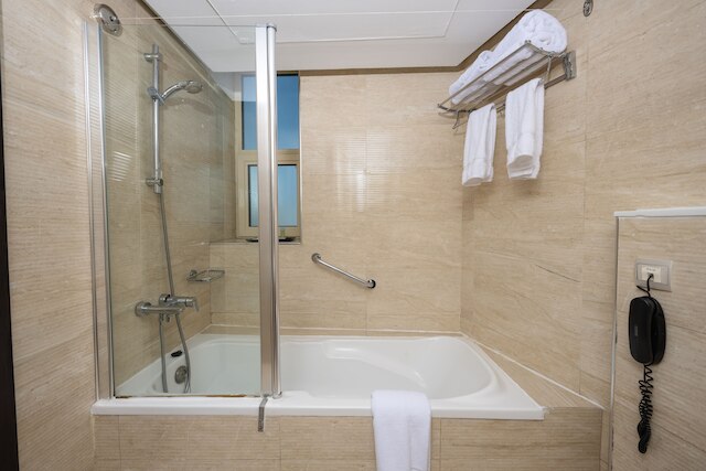 パール スイス ホテル