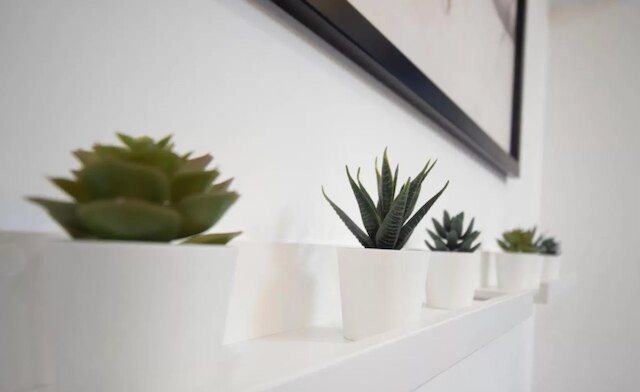 リカ ホテル - エコ ダブル ルーム