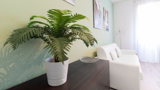 メルロ  3 - アパートメント ミラノ