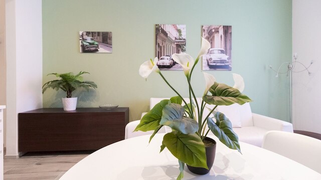 メルロ  3 - アパートメント ミラノ