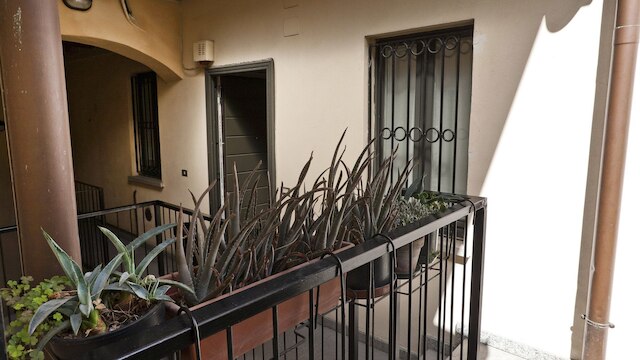 M CGAル 55B4 - ガリバルディ 55 - ラージ