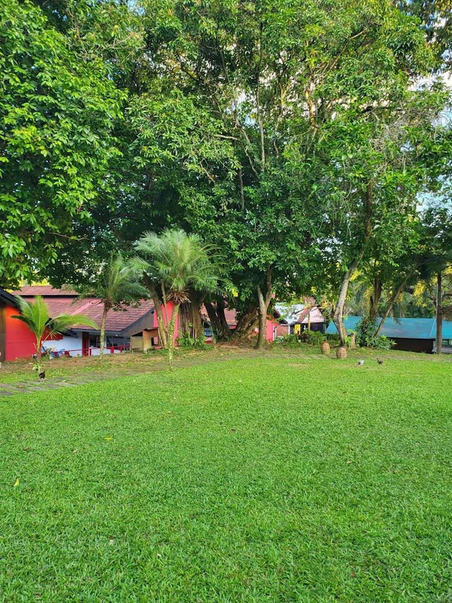 ギャロップ ヒル トップ リゾート