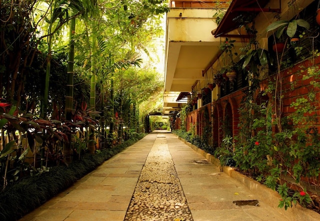 ザ グリーン パス