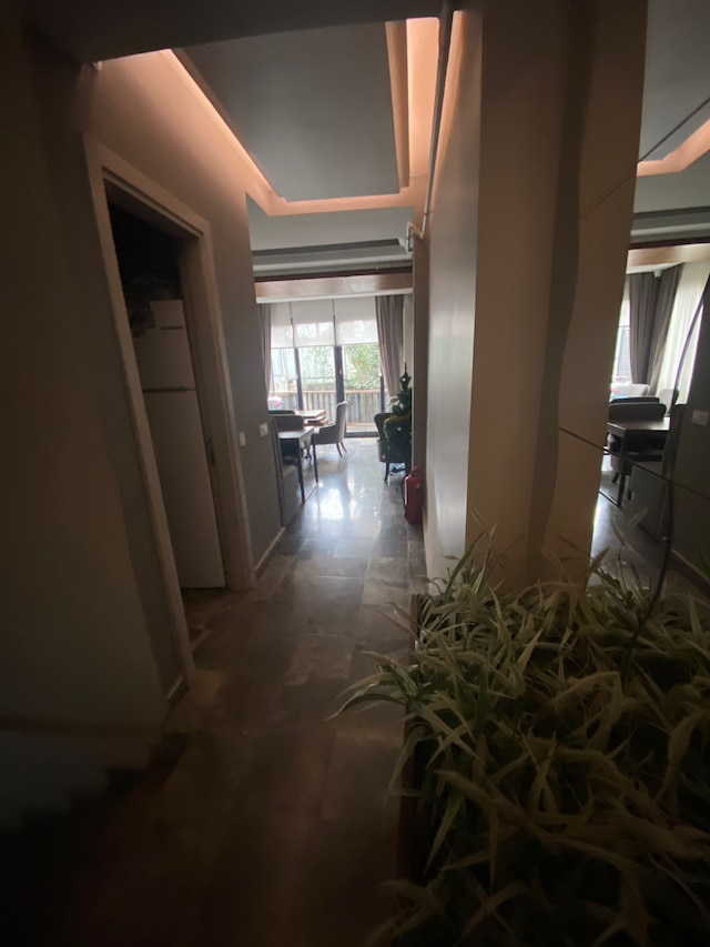 コナック ベラ 3