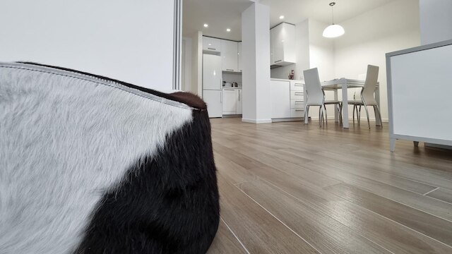 イタリアンウェイ - コルソ ベネツア 7 - リゴレット