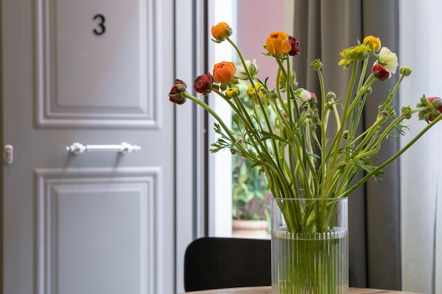 グレア アルディットス