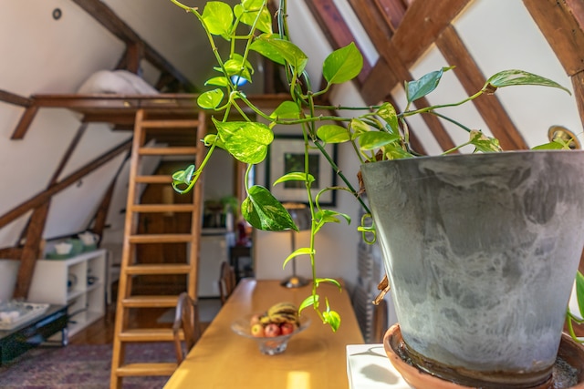 B&B シンゲル スイーツ