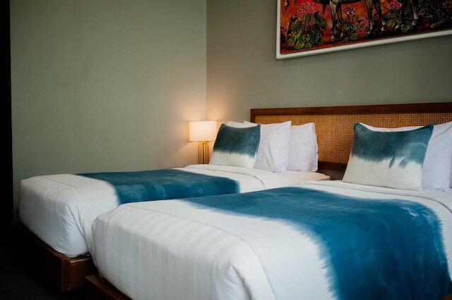 エコージー ディジワ チャングー