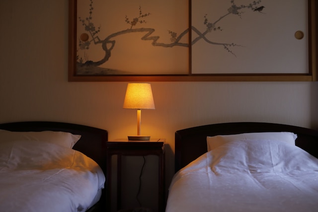 井村家別邸 月の離なれ