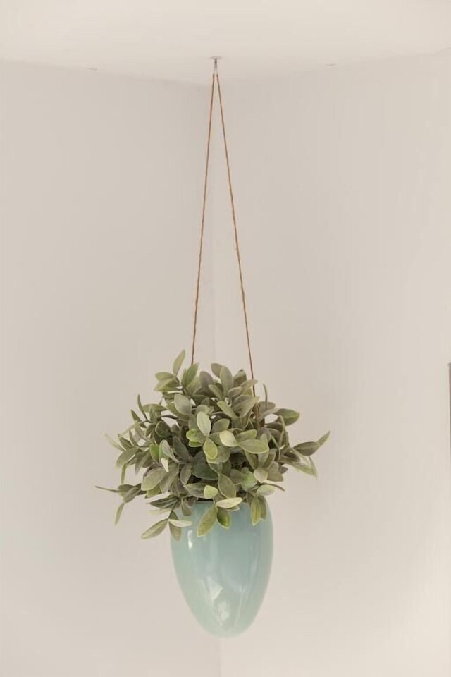 リトル アムステル ハウスボート