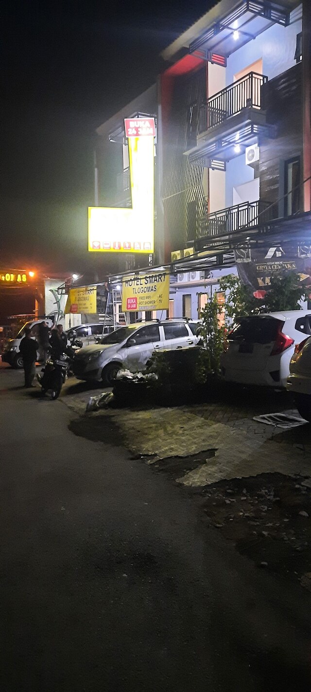 スマート トロゴマス