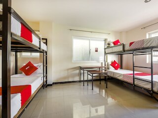 ワクチン接種スタッフ - OYO 850 Clr Mn イン