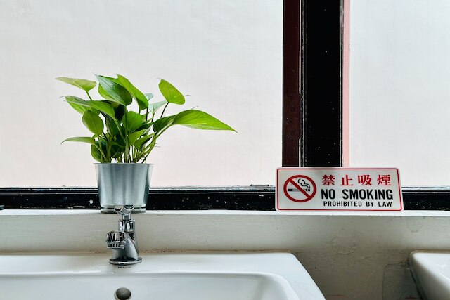 ラックサック イン テンプル ストリート