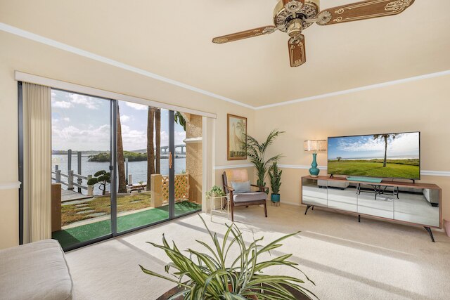 インターコースタル ドリームズ 102