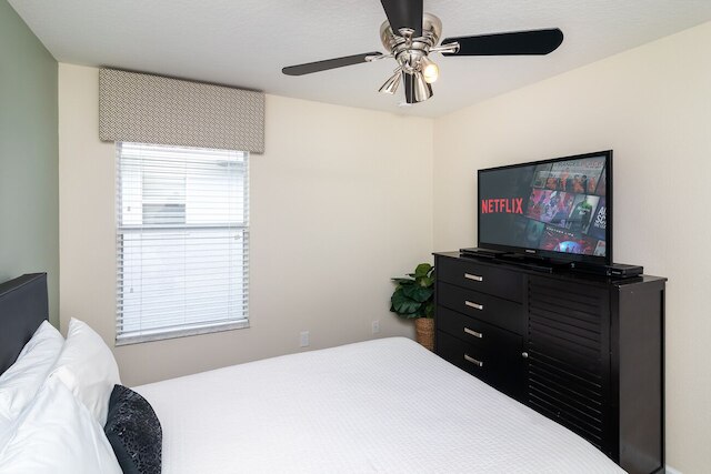 ザ コージー パーム