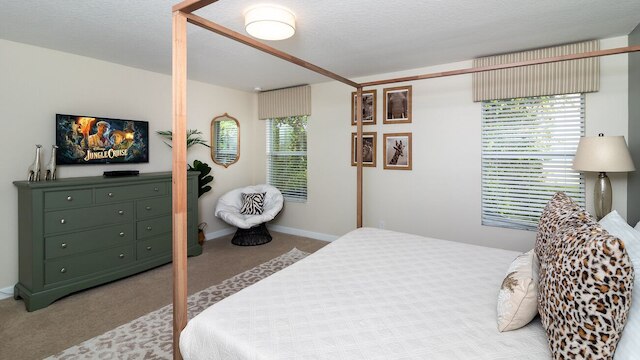 ザ コージー パーム