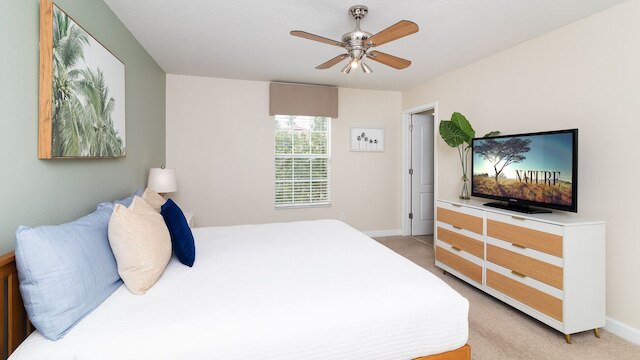 ザ コージー パーム