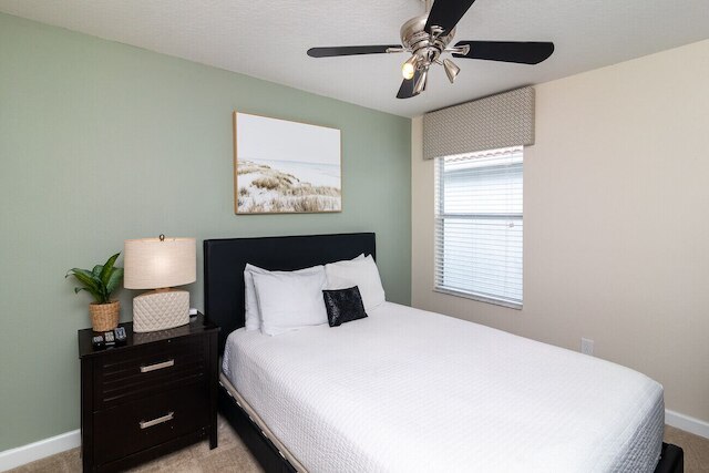 ザ コージー パーム