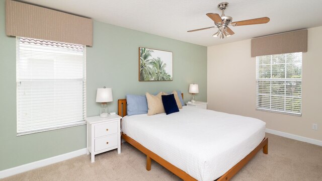 ザ コージー パーム