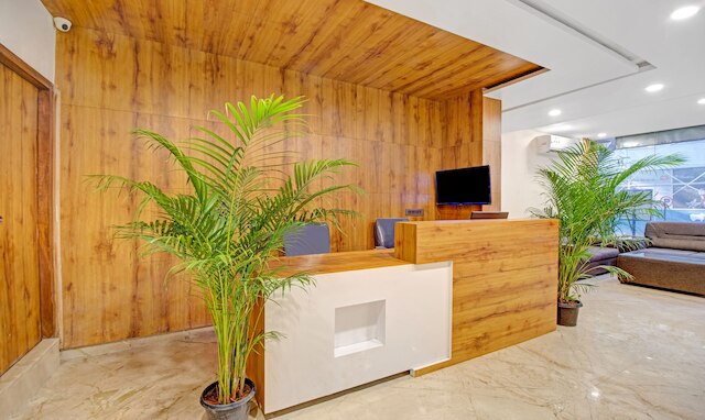 トリーボ ホワイト イン