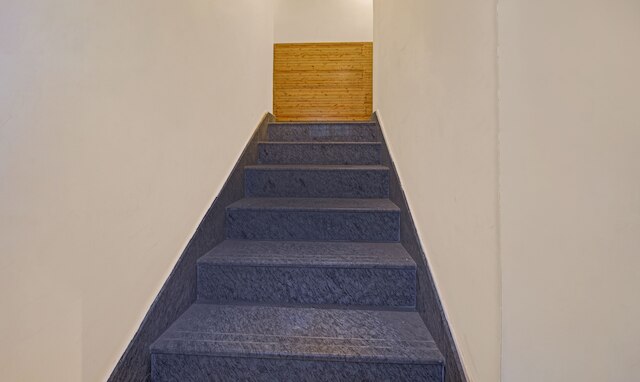 トリーボ ホワイト イン