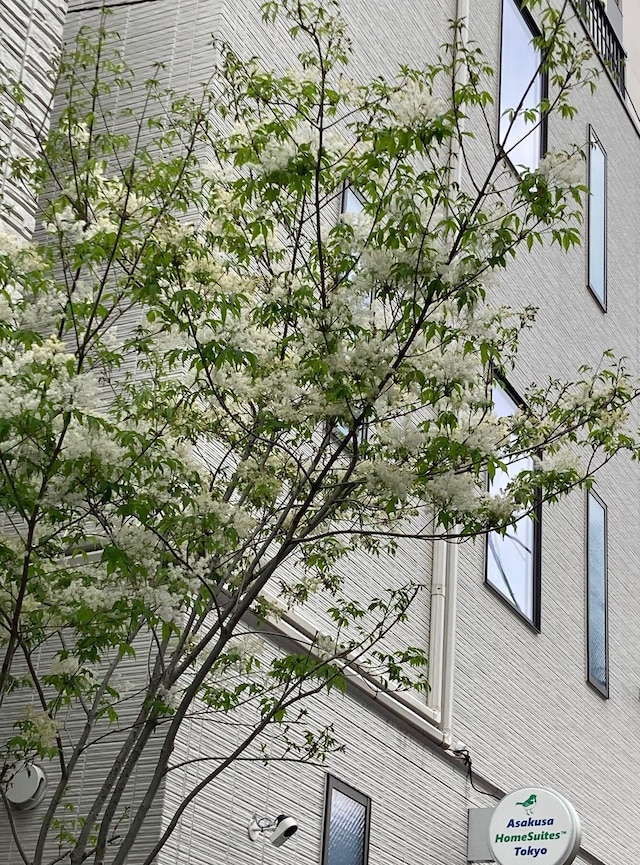 浅草ホームスウィーツ東京