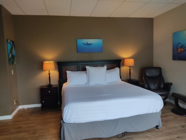 ルアナ・ナイア・イン