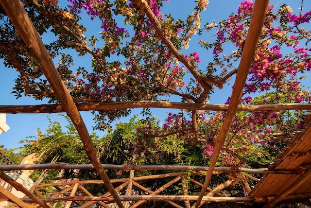 ヴィラ アマルフィ イン アマルフィ