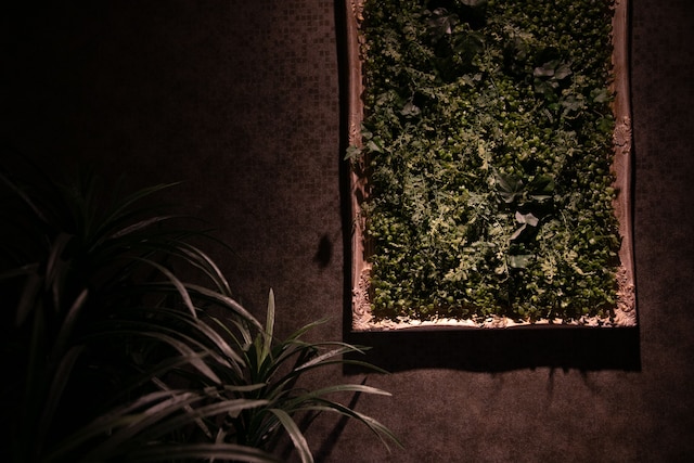 ルナ・クレール - 大人限定