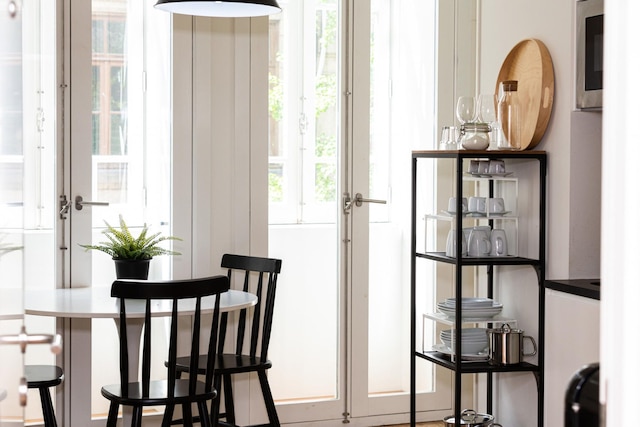 コットン コージー ナイトライフ スタジオ 101