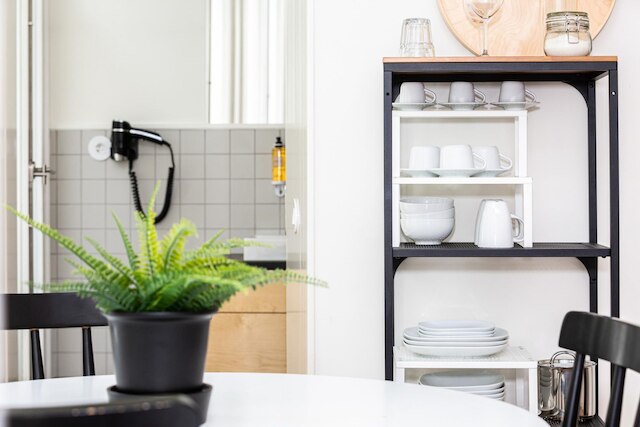 コットン コージー ナイトライフ スタジオ 201