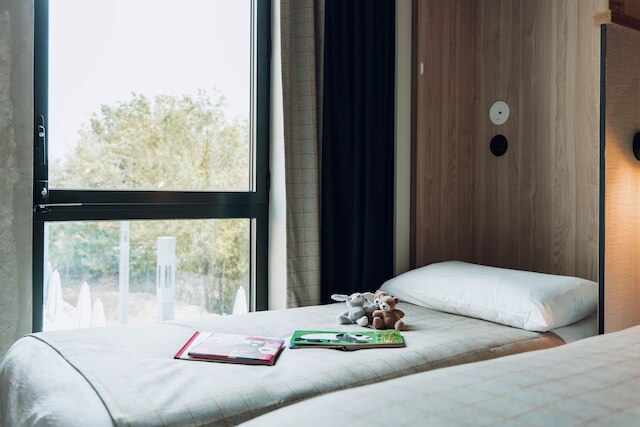 イビス スタイルズ ラ ロシェル セントル ガール