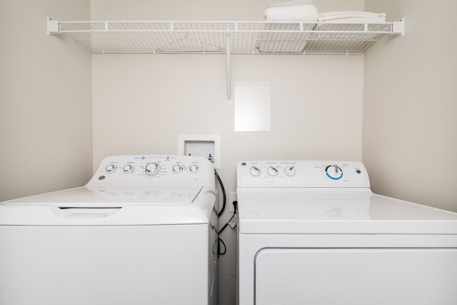 エスケープ トゥ ブライアー ローズ